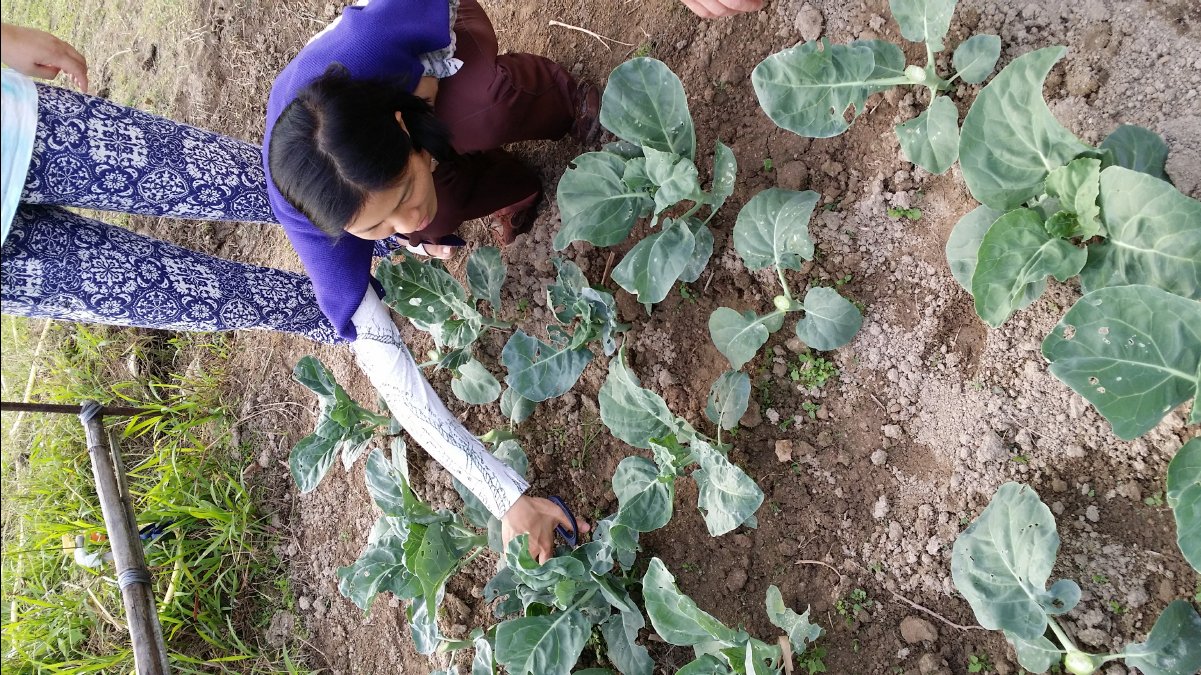 20131124 Organic Farm32